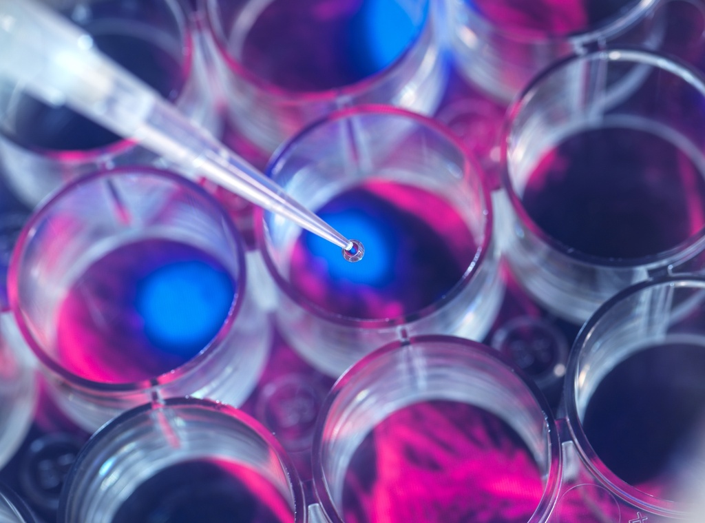 JETSTAR 2.0 Plasmid Maxi columns
