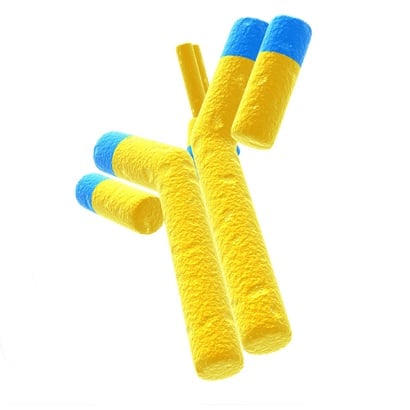 Magnetic Loader/Unloader system