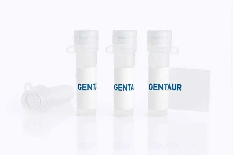 Ephrin-A2/EFNA2, Rat (HEK293, Fc)