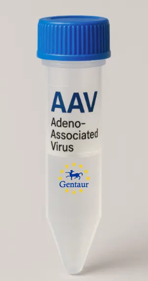 OMP AAV Vector (Mouse) (CMV)