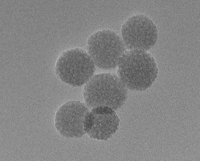 NTA Silica Particles, 800 nm